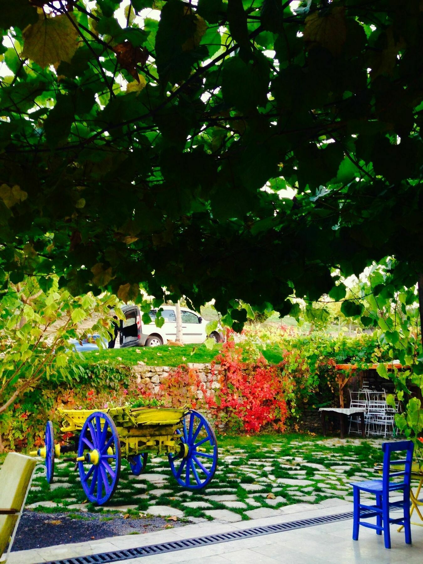 Yeni Konak Hotel Safranbolu Esterno foto